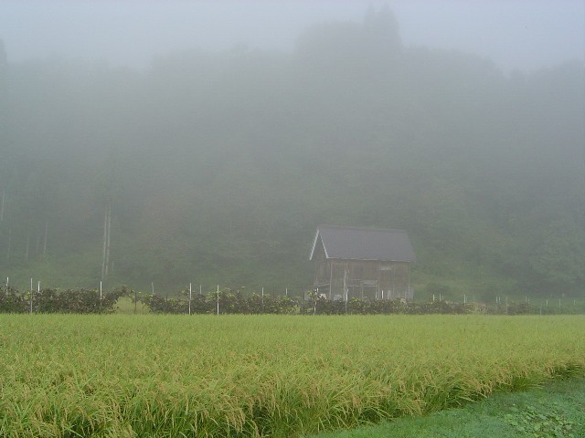 Asagiri (60k image)