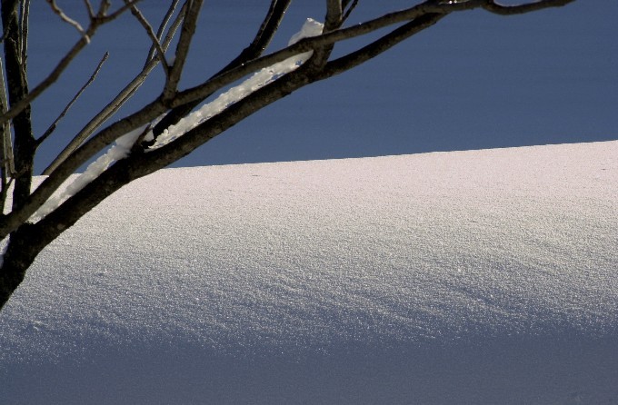 Snow0219 (91k image)