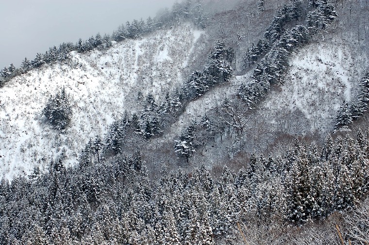 Snow122007 (238k image)