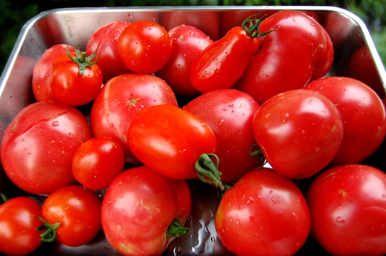 Tomatoes073110 (93k image)