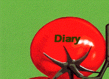 Diary